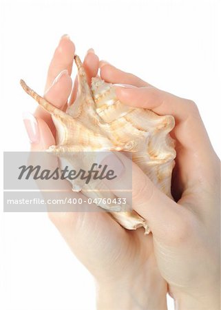 Beautiful hand with perfect french manicure on treated nails holding sea shell. isolated on white background