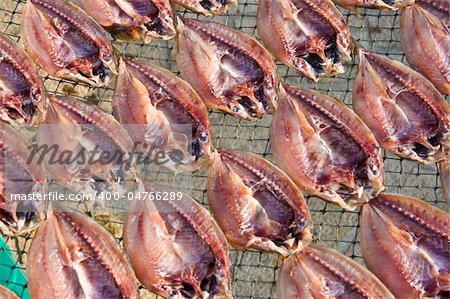 fresh fish drying in the thai morning sun