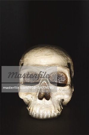 A skull on the black background