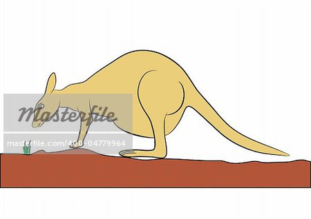 Illustration of the kangaroo - hand drawing - vector. This file is vector, can be scaled to any size without loss of quality.