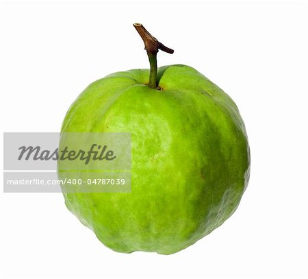 Guava isolated on white, fruit with green color from tropical zone