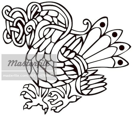 A vector illustration of a Celtic bird with a beautiful design, isolated on white background. Great for tattoo or artwork.