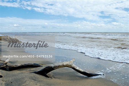 nature mud seascape. Sky and beach