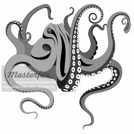 Vector octopus represented in the form of a tattoo.