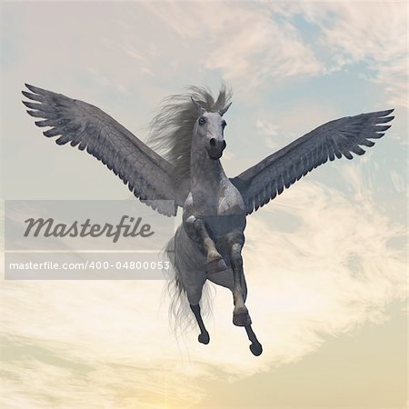 The fabled creature of myth and legend, the white Pegasus, flies with beautiful wings.