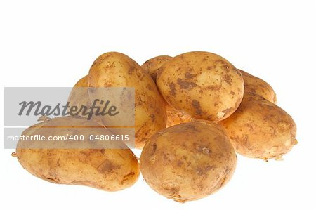 bunch of potatoes photo on the white background