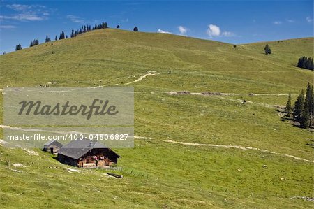 Small wooden Hut in the austrian pasture