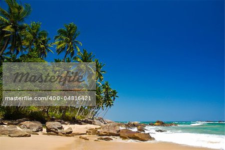 Tropical paradise in Sri Lanka with palms hanging over the beach and turquoise sea