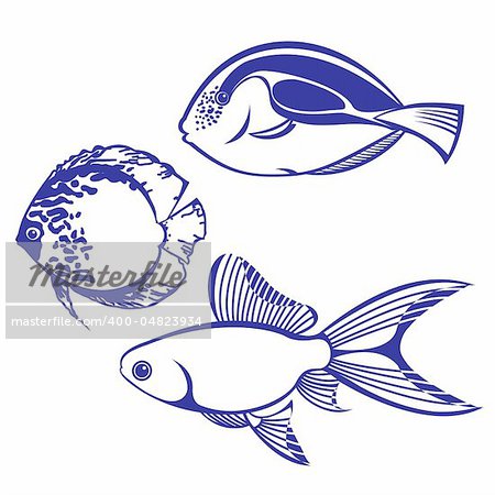 Tropical Fish. Set #4. Vector illustration on white background for design