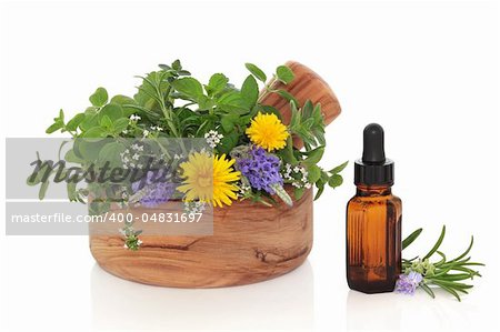 Herb leaf and flower sprigs of rosemary, lavender, mint, marjoram and dandelion flowers  in an olive wood mortar with pestle and an essential oil glass bottle, isolated over white background.