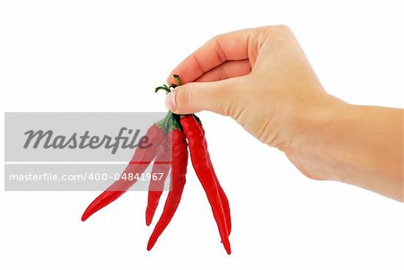 red chili peppers in hand on a white background