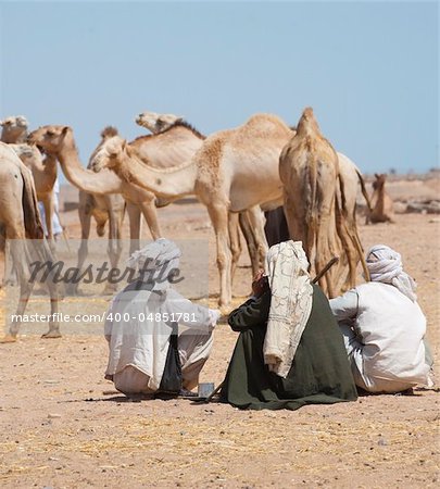 Bedouin traders at an african camel market