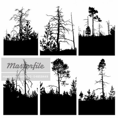 vector silhouettes tree on white background