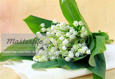 lovely bunch of lily of the valley on a stone background