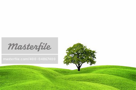 Tree on green field, isolated against a white background