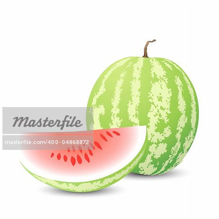 vector yummy watermelon on white background