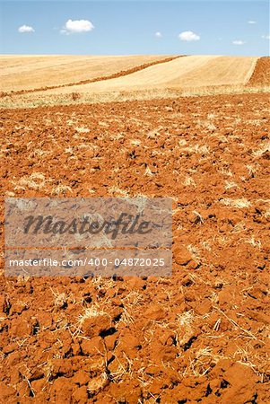 Plowed farmland