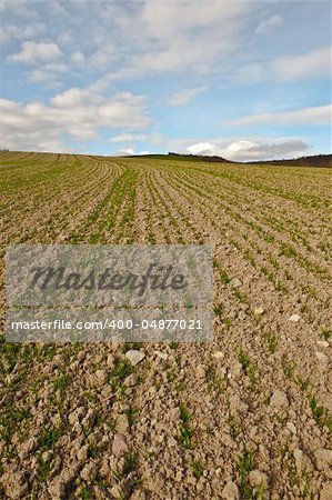 Freshly Plowed Field in Spring Ready for Cultivation