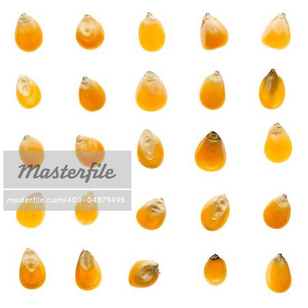 Set of corn beans isolated on white background.