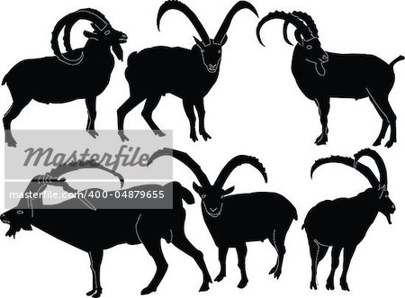 rock goats collection - vector