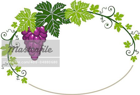 Grapes oval frame with green leaves on a white background with space for your design