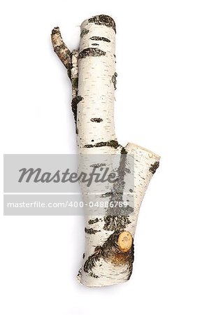 Birch log isolated on white.