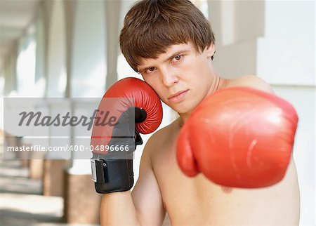 Close-up photo of young boxer with copy space