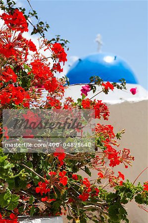 Beautiful red geranium flowers with blue dome of church in background in Thira, Santorini, Greece