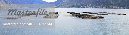 Aquaculture nets at bay of Kotor in Montenegro