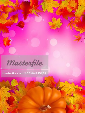 Orange Pumpkin on elegant pink bokeh. EPS 8 vector file included