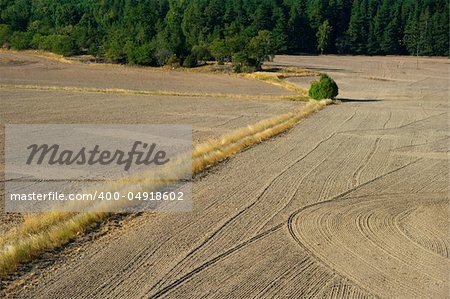Plowed field seen from a high angle view