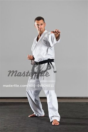 An image of a martial arts master