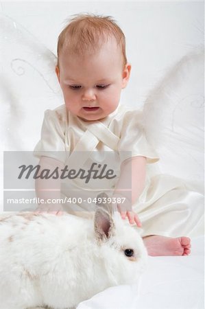 cute little girl dressed like fairy with fluffy wings plays with white rabbit