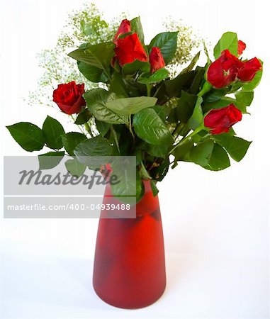 Vase of red roses against a white background