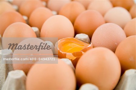 plenty of eggs with one egg opened