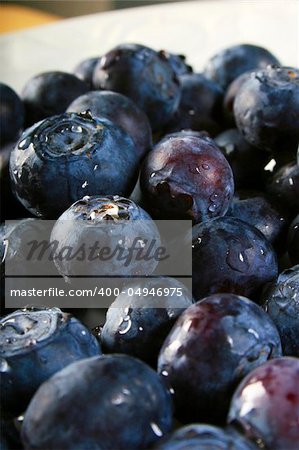 Fresh blueberries on a white plate shot in studio