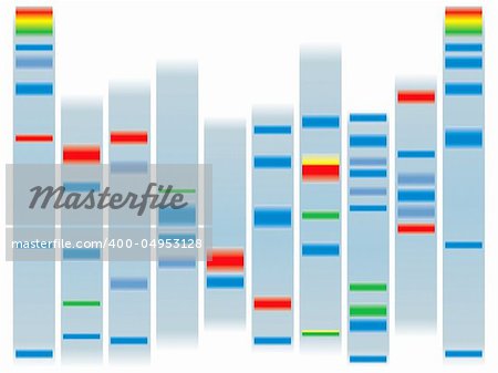 Illustration of a human dna ideal for scholl information on a clear background