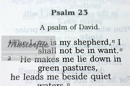 Psalm 23 in the Bible