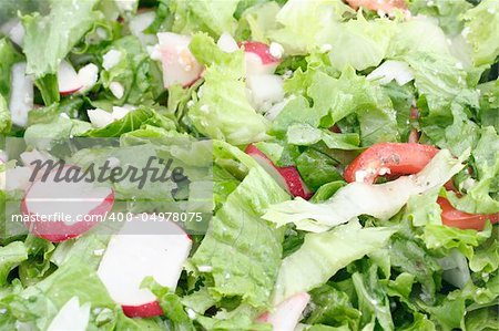 fresh green salad background