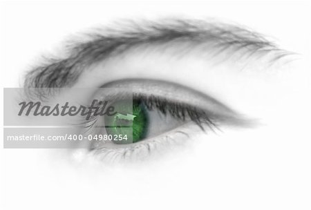 Woman green eye isolated on white