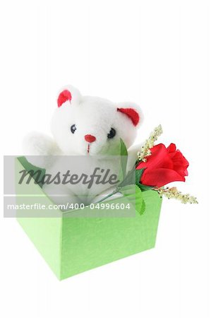 Teddy Bear in Gift Box on White Background