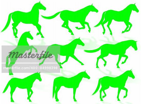 Black horse silhouettes in different poses and attitudes