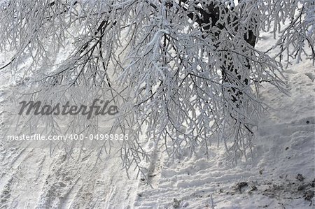 Beautiful winter snow landscape from Bulgaria