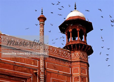 India, Agra: Taj Mahal; detail of the mosque's roof with birds flying