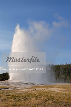 Old Faithful Geyser. Yellowstone NP