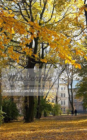 Young couple on golden autumn city park path