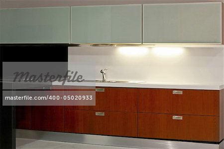 New modern kitchen with metal and glass