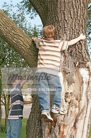 Two Boys Having Fun Climbing a Big Tree