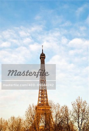 The Eiffel Tower  - paris France