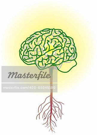 vector illustration for a brain tree, inside is a lightning bulbs, metaphors